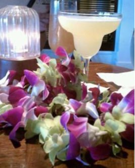 Aloha Vanilla Fragrance Oil - Compare to Bath and Body Works