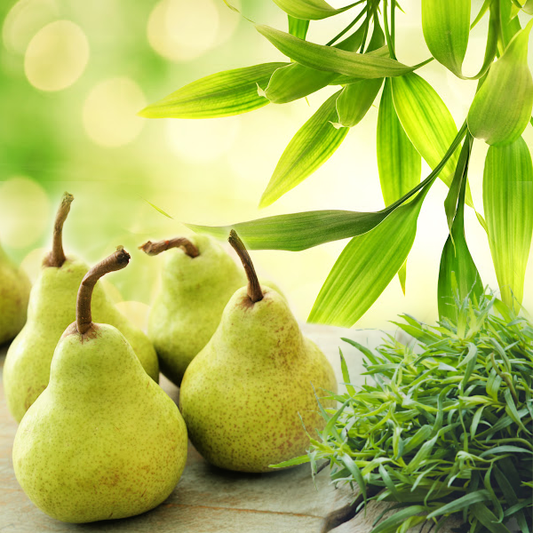 Bamboo Pear Tarragon Premium Fragrance Oil