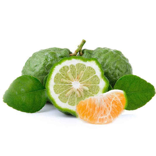 Bergamot & Mandarin - PreOrder