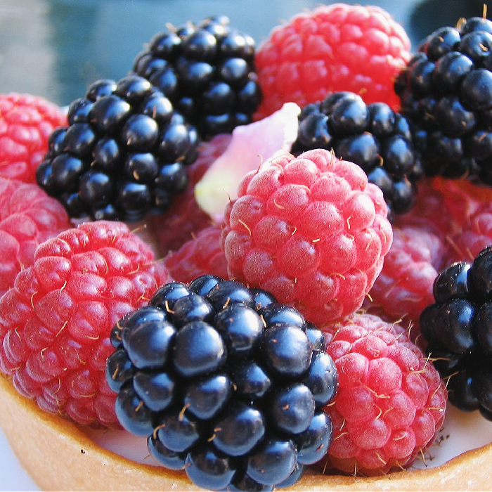 Black Raspberry Vanilla Fragrance Oil