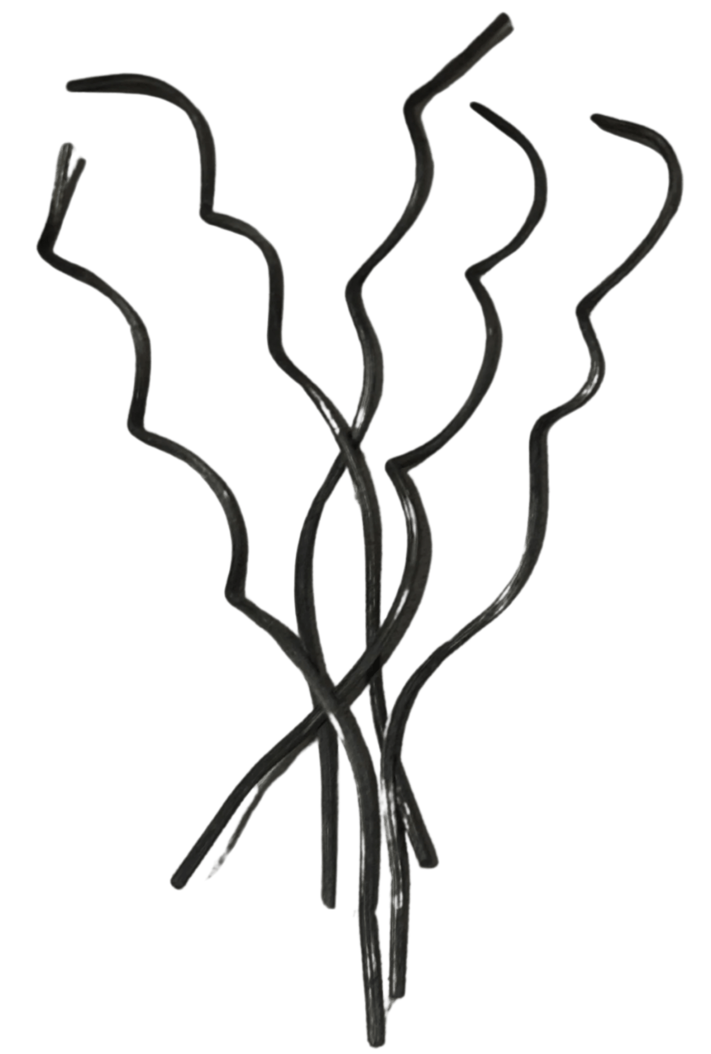 Black Rattan Sprial Waves Reed Diffuser Sticks
