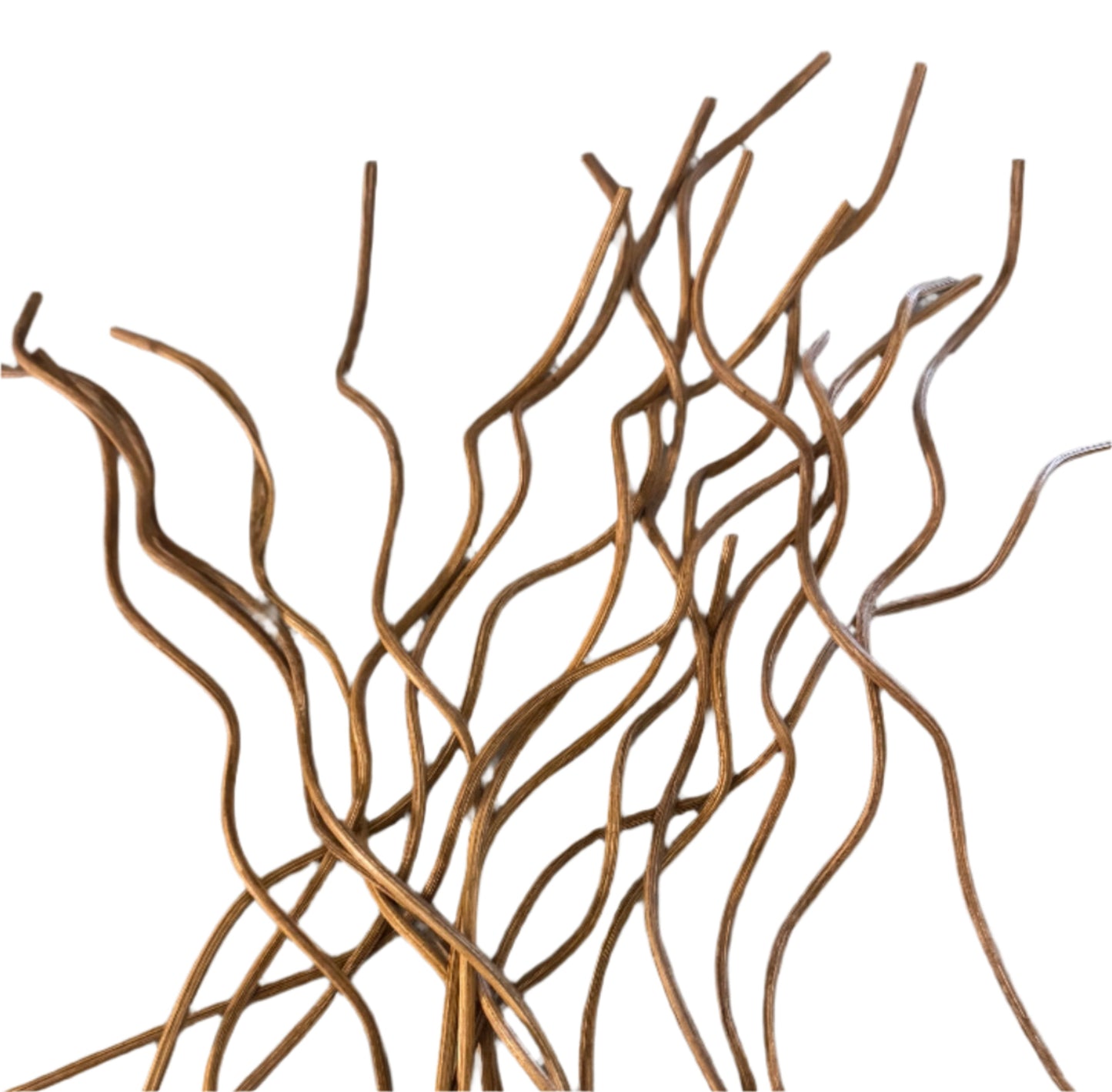 Where to But Spiral Reed Diffuser Sticks