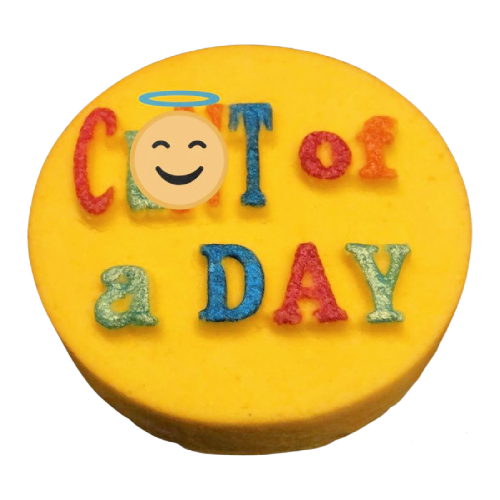 C Day DB Adult Bath Bomb Mold