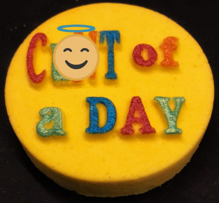 Adult Themed Bath Bomb Mold