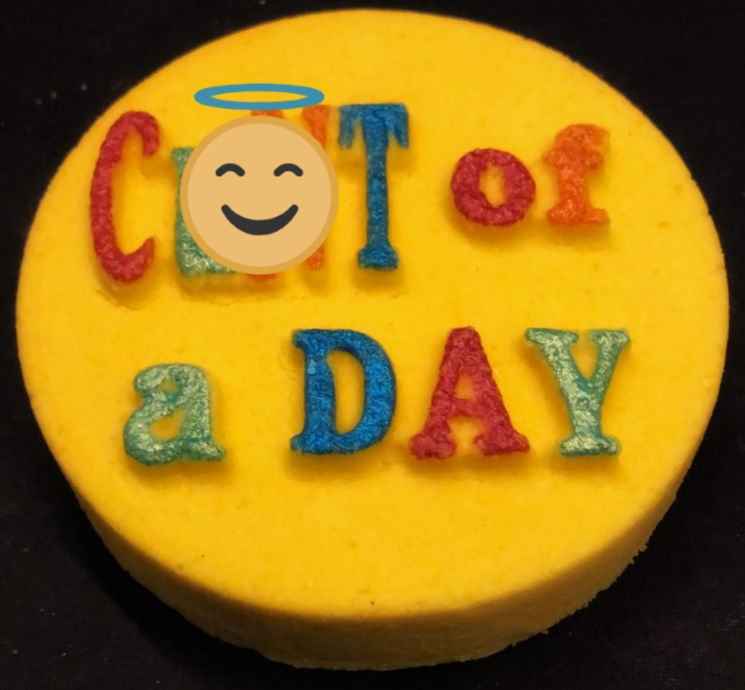 C Day - DB Bath Bomb Moulds