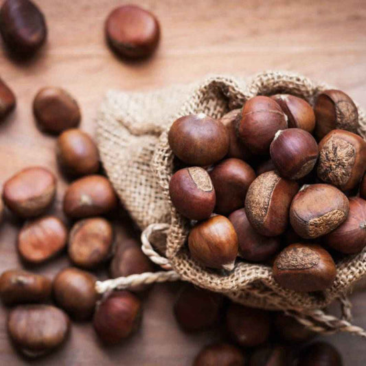 Chestnuts & Brown Sugar - PreOrder