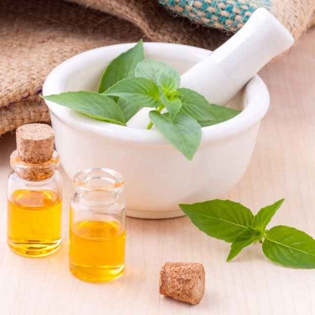 Citrus Basil Fragrance Oil for Candles, Soaps, Lotion, & Bath Bombs