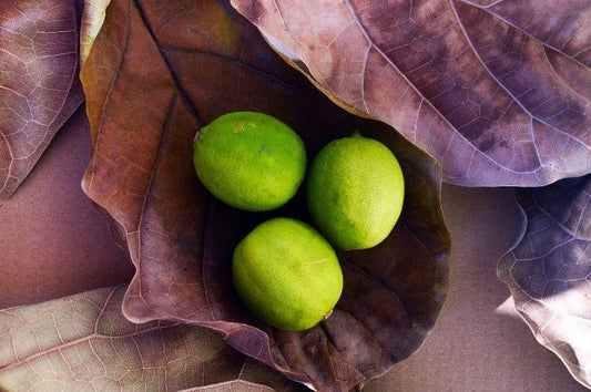 Citrus & Oak Premium Fragrance Oil