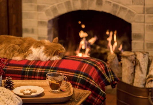 Cozy Cabin best wholesale fragrance for candle and soap making