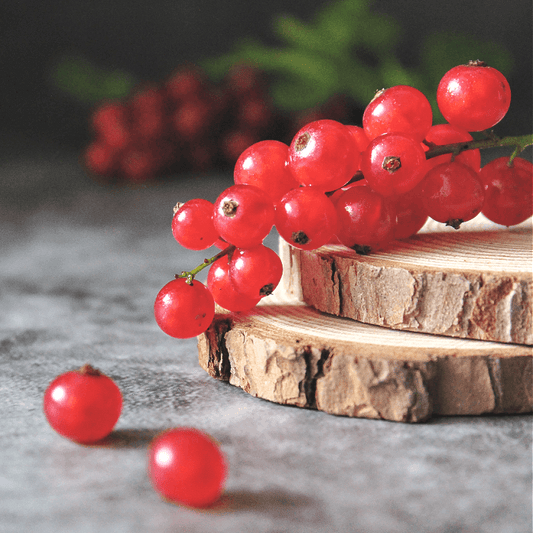 Red Currant & Sandalwood Fragrance Oil for Candles