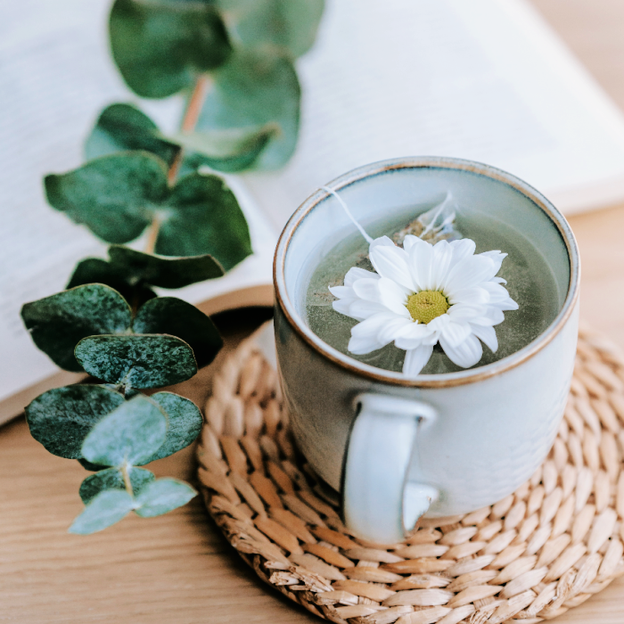 Eucalyptus Tea Fragrance Oil BBW