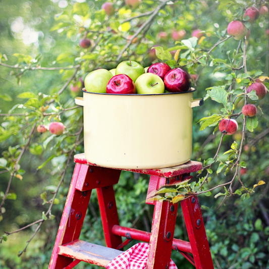 Farmstand Apple Bath and Body Works type fragrance oil