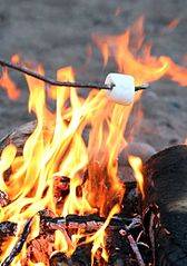 Fireside Marshmallows Fragrance