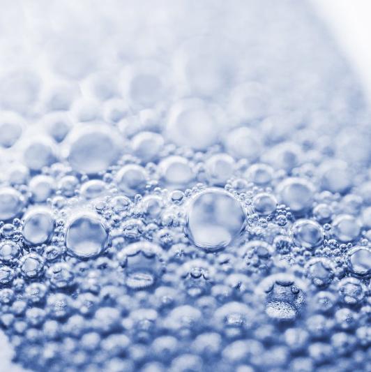 Fizz Fragrance Oil