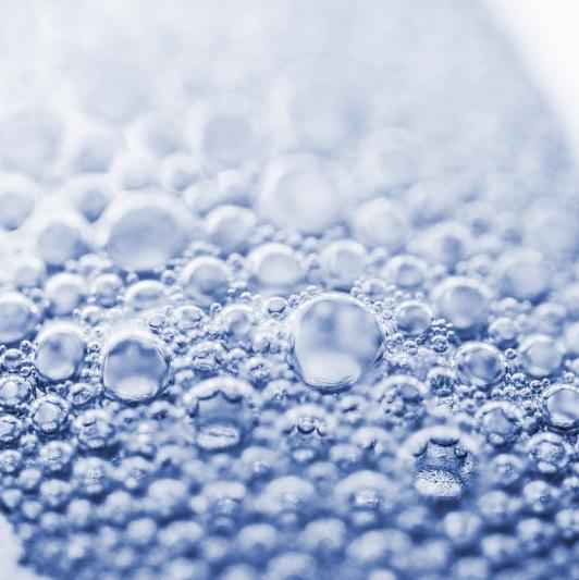 Fizz - Premium Fragrance Oil