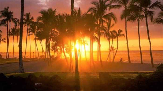 Honolulu Sun (BBW type) - Premium Fragrance Oil