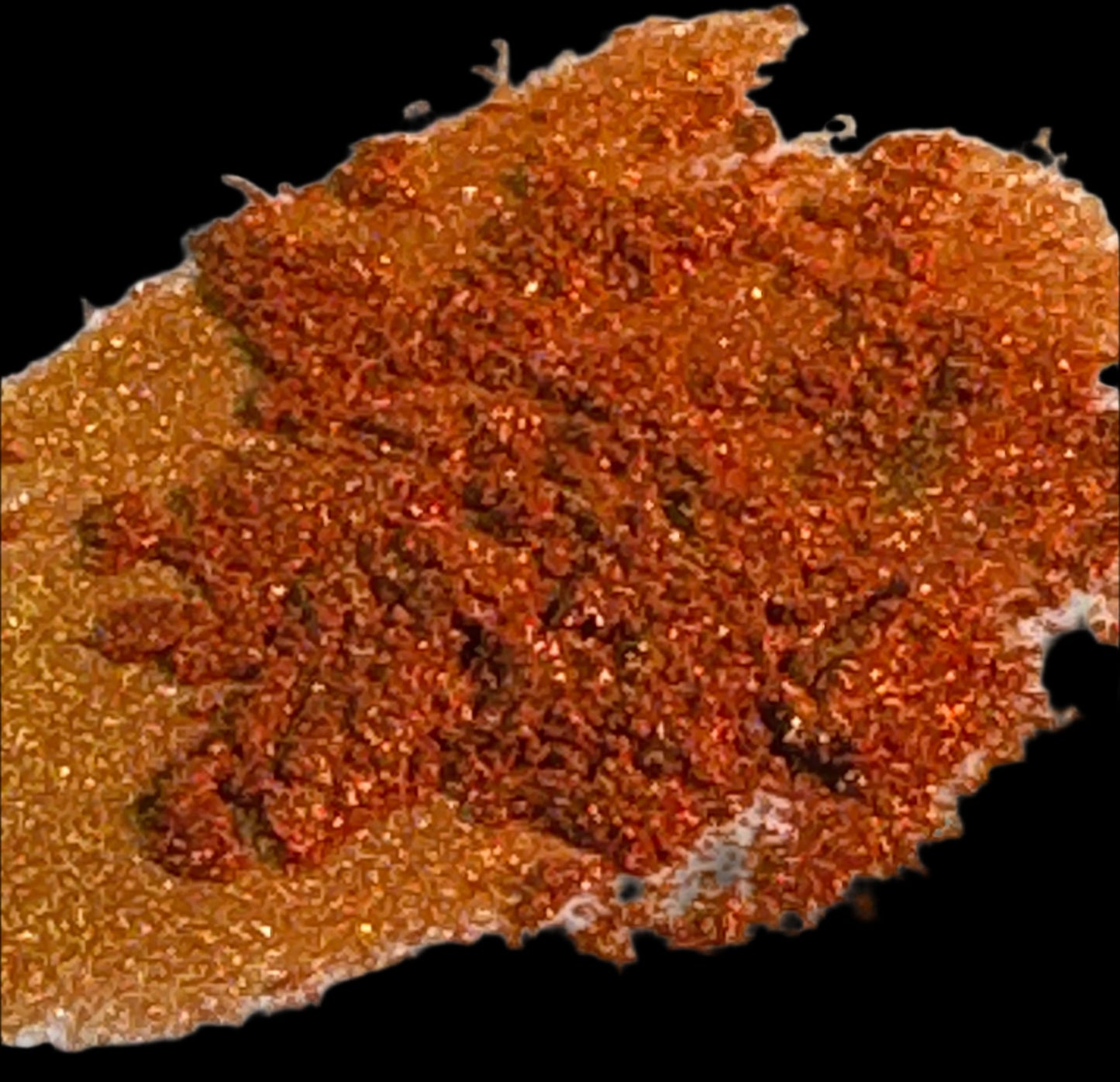 * Chameleon Color Change Mica Sample Pack - 10 Jars of Color Changing Mica Pigment