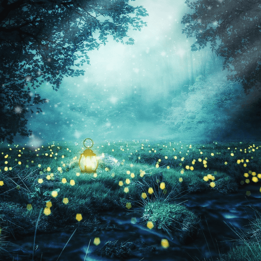 Into the Night Fragrance Oil