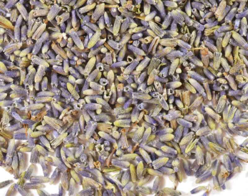 Lavender Buds - Dried Botanicals for Crafting