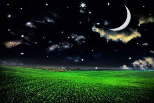 Midnight Summer - Premium Fragrance Oil