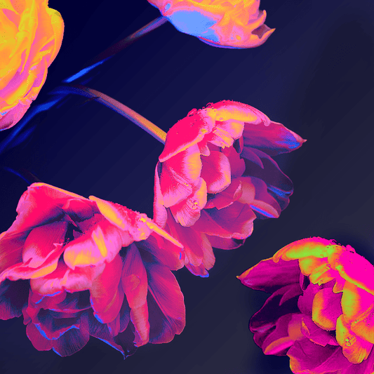 Neon Blossoms Candle Fragrance Oil