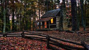 North Woods Fragrance for Candle & Soap Making