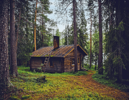 North Woods Fragrance Oil for Candles