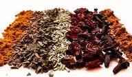 Oriental - Premium Fragrance Oil