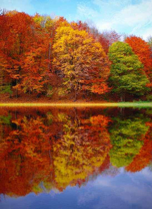 Perfect Autumn (BBW type) - 1oz Sample