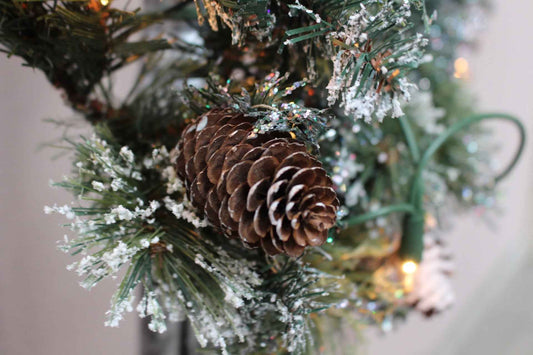 Pinecones (Discontinued - Last Chance) - Premium Fragrance Oil