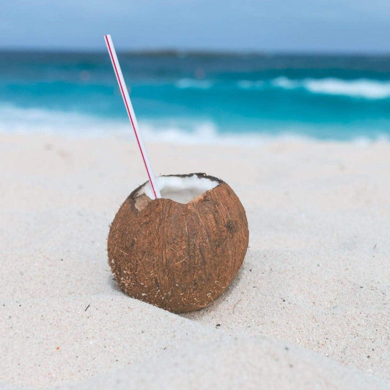 Sea Salt & Coconut best fragrances for candles