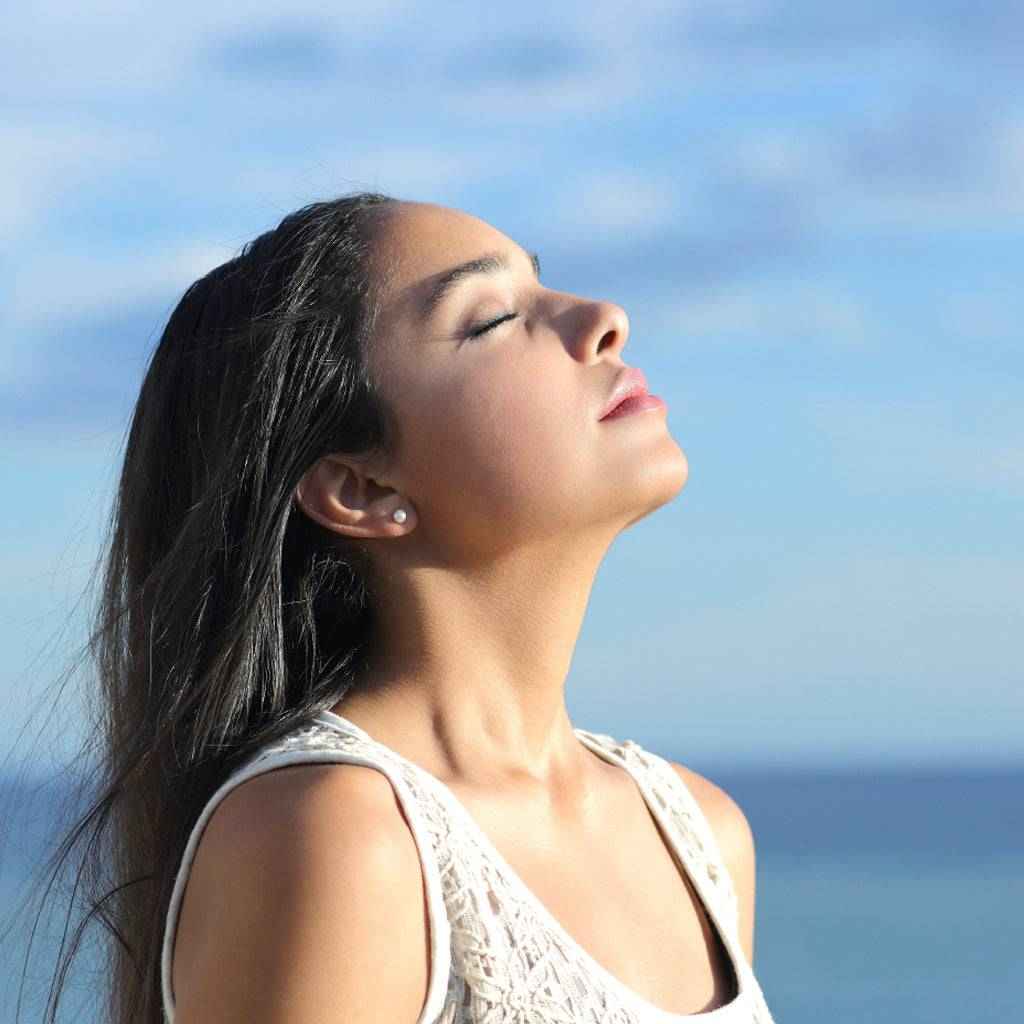 Sinus Relief Blend - Essential Oil & Fragrance Oil - Best Shower Steamer Fragrance