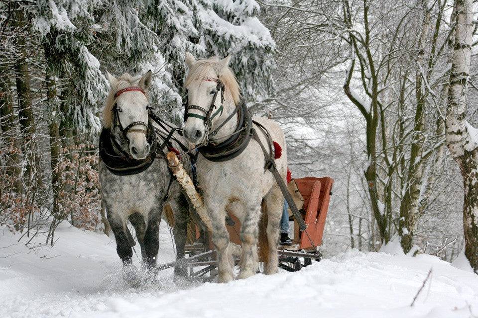 Sleigh Ride - Christmas Candle Fragrance Oil