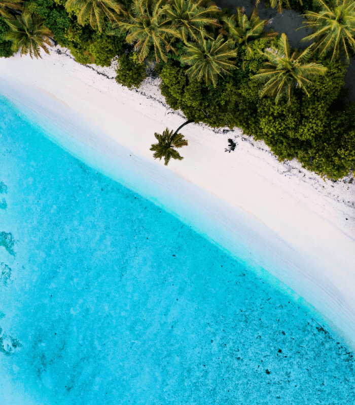 South Pacific Waters Candle Fragrance Oil