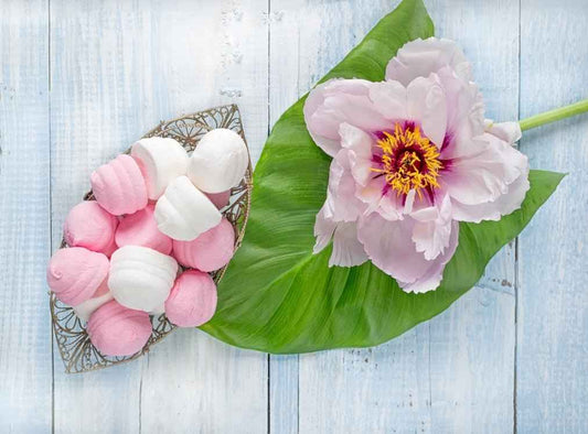 Sugared Peony - 1oz Sample