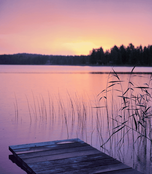 Summer Nights Candle Fragrance Oil