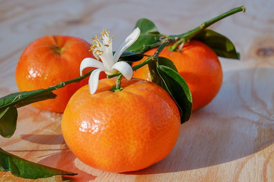 Tangerine Sunshine Fragrance Oil