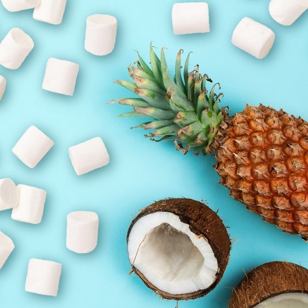 Toasted Coconut Candle Fragrance Oil
