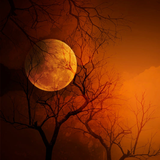 Vampire Blood Candle Fragrance Oil