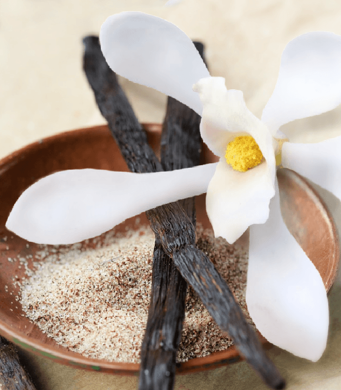Vanilla Blossom Candle Fragrance Oil