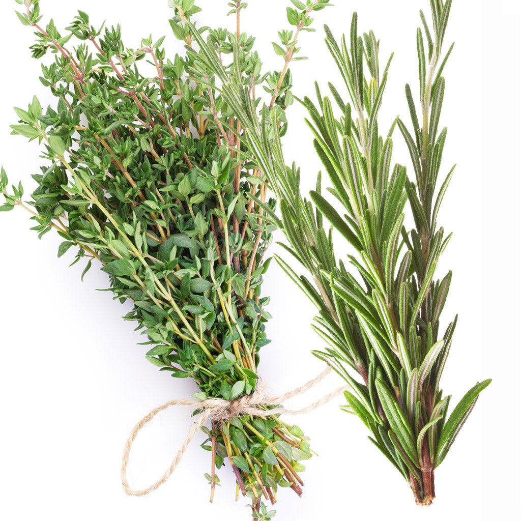 White Thyme Rosemary Fragrance