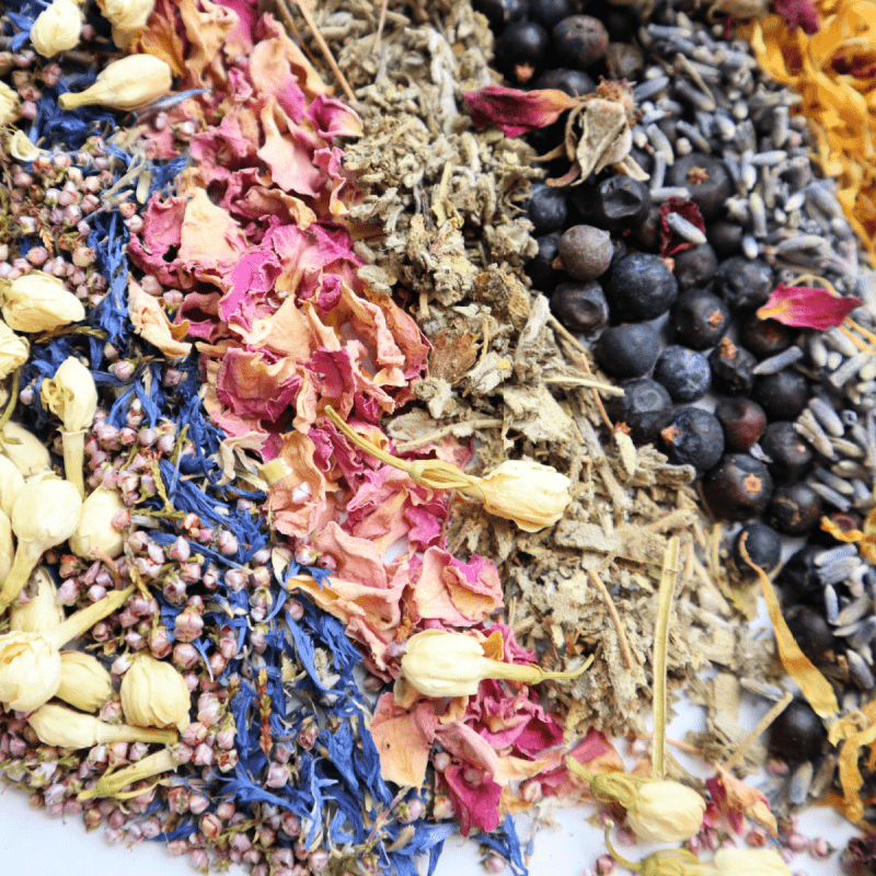 Dried Crafting Botanicals