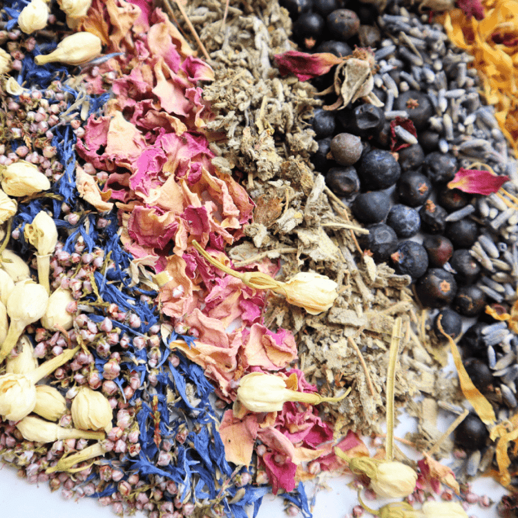 Dried Crafting Botanicals