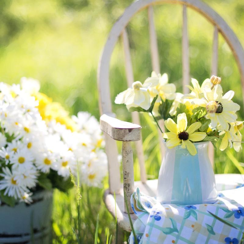 Floral and Green Fragrance Oils