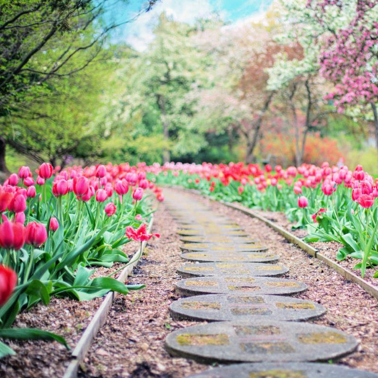 Spring and Summer Fragrance Oils