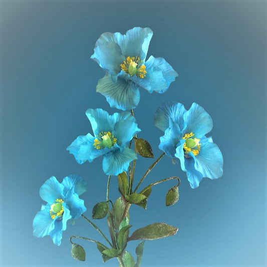 Aqua Flowers best wholesale candle fragrance