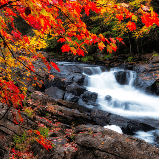 Autumn Magic Premium Fragrance Oil