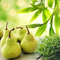 Bamboo Pear Tarragon (Discontinued)