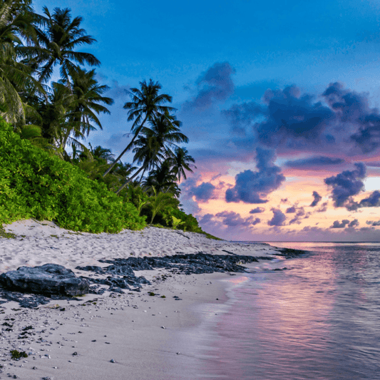 Beach Walk Fragrance Oil for Soap & Candles