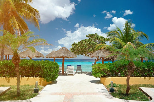 Belize Tropical Cabana best wholesale candle fragrance